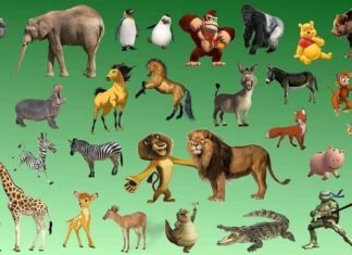 π¬ Fun Facts About Animals for Kids