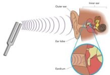 π¬ What Is Sound and How Do We Hear?