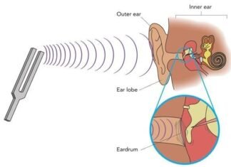 π¬ What Is Sound and How Do We Hear?